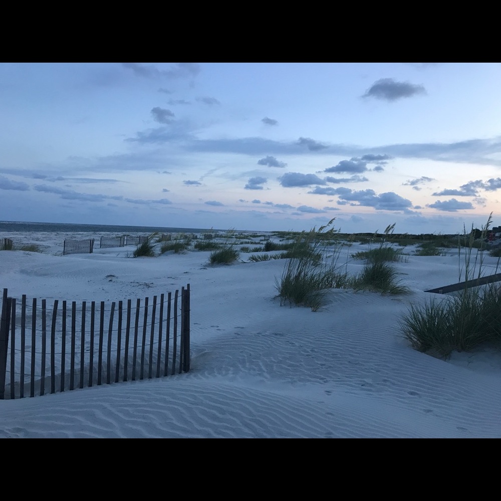 Meet your Posher, Alison